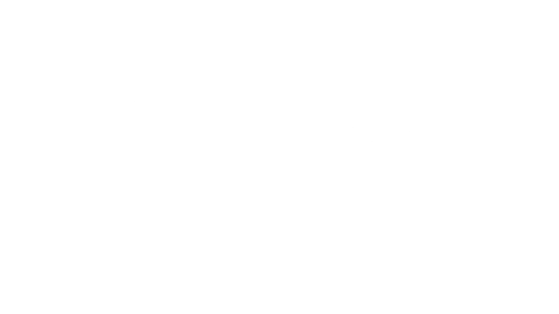 INTELISIS